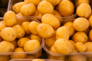 Variety of organic potatoes at Torvehallerne market in Copenhagen, Denmark.