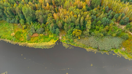 Aerial view of a serene landscape with a river flowing alongside a vibrant forest filled with autumn colors, showcasing the natural beauty and tranquility of the area.