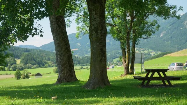 A roadside rest stop with a wooden picnic table and bench for a travel break or lunch in the Austrian Alps. This recreation area provides a scenic view of the mountain landscape, valley and forest.