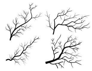 Minimal naked tree vector silhouette dead tree branches isolated on white background design