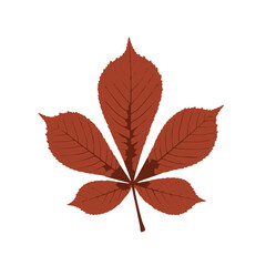 Deep red brown chestnut leaf with five leaflets showing autumn tone and natural detail