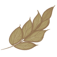 Fototapeta premium Autumn Harvest & Turkey Clipart