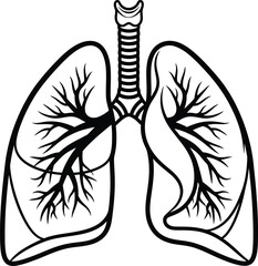 Hand-drawn human lungs and trachea line art. Anatomical respiratory system vector illustration isolated on white background.