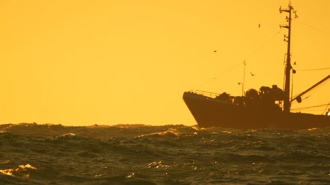 Fishing boat, ocean, sunset, majestic trawler sails rough waves at golden hour
