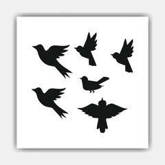  Birds silhouettes collection
