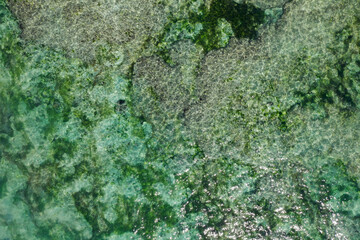 Top-down drone view of coral reef and turquoise ocean water