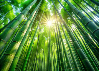 Fresh Bamboo Grove