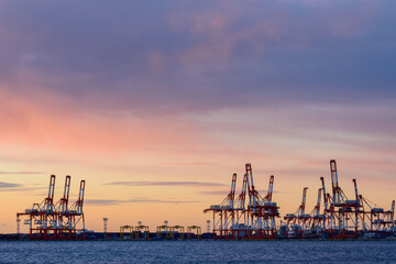 早朝の港湾施設　ガントリークレーン