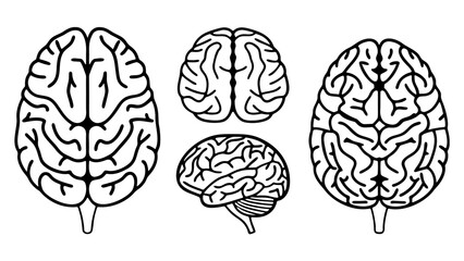 set of line art human brain