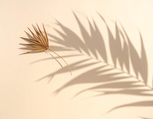 Obraz premium Minimal Palm Shadow on White