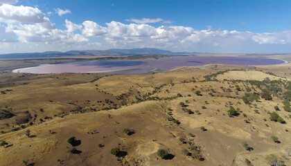 High-angle view of a pink lake nestled in a dry, hilly landscape under a partly cloudy sky