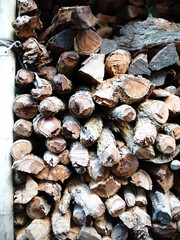 burning fire wood on ground and texture