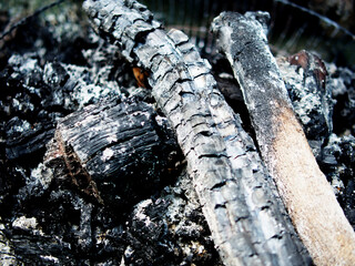 burning fire wood on ground and texture