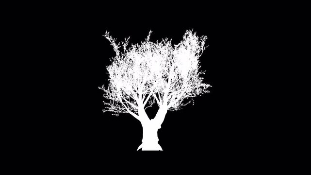 White Silhouette of a Tree on a Black Background.
