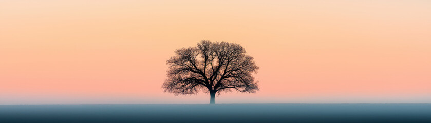 Obraz premium solitary oak tree stands against pastel africa sky at dawn, creating peaceful safari scene. soft colors evoke sense of calm and beauty in nature