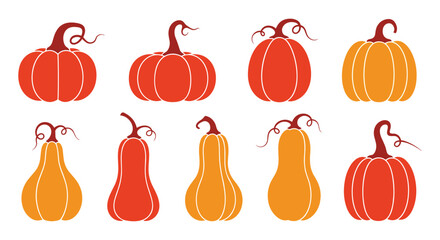 A collection of autumn gourds and pumpkins of various shapes and colors.