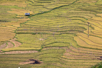 베트남 사파 풍경