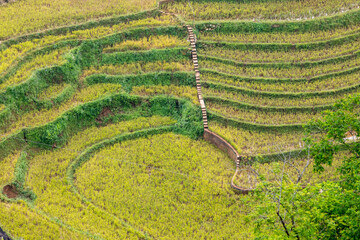 베트남 사파 풍경