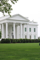 the white house