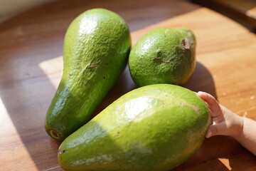 Fresh, Ripe Avocados Bathed in Sunlight A Healthy, Delicious Fruit Option