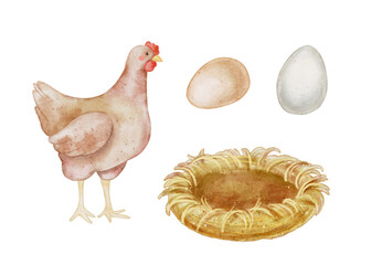 Watercolor illustration with a brown hen, two eggs, and a straw nest in soft natural colors. Ideal for farm-themed packaging, childrens books, kitchen decor, and organic food design.