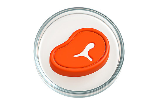 orange steak in petri dish, food concept clip art preview