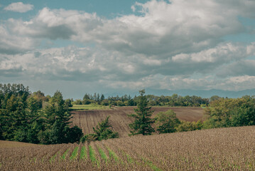 landscape of tuscany