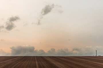 Golden Hour Field Landscape