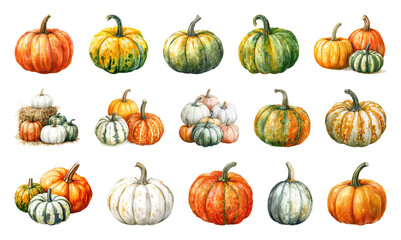 PNG Watercolor pumpkins autumn harvest, element set on transparent background