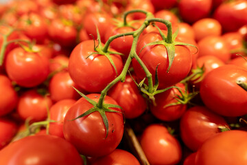 cherry tomatoes on the vine