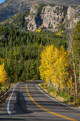 Scenic road with autumn scenery of yellow aspen trees and green pine forest on the hill at Rocky Mountain National Park. Beautiful fall foliage landscape in Colorado, USA.