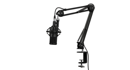 Professional Studio Microphone on Adjustable Boom Arm Stand.