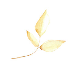 Fototapeta premium Orange leaves element on a white background. Hand-drawn illustration. Perfect for autumn.