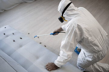 Pest control exterminator in white protective suit, mask and gas respirator with sprayer equipment...