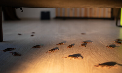 Fototapete bei efototapeten.de bestellen   