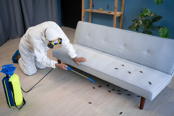 Pest control exterminator in white protective suit, mask and gas respirator with sprayer equipment...