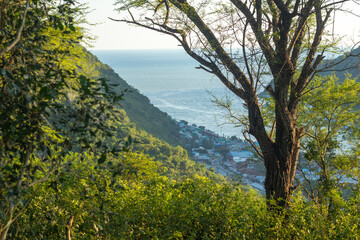 Scenic View of Coastal Town From Lush Hillside