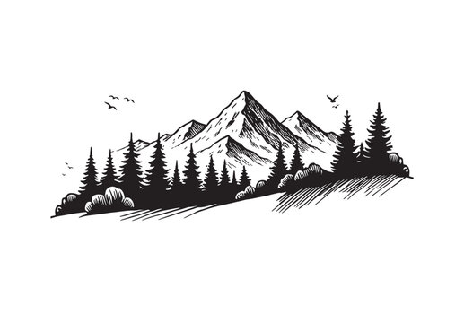 Vector silhouette line of fir trees and mountains. Hill of fir trees and mountain landscape, vector forest silhouette.