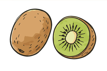 Obraz premium Kiwi fruit doodle sketch set. Vector hand drawn outline illustration with watercolor effect. Whole and sliced fresh organic kiwifruit icon for healthy food and diet concepts.