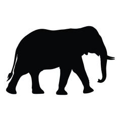 Silhouette of a majestic african elephant walking confidently majestic wildlife animal representation silhouette © Juma