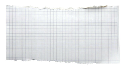 Torn paper fragment with grid lines isolated on white background.