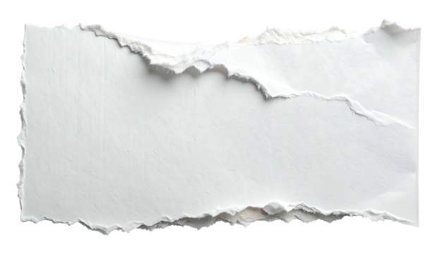 Torn paper fragment isolated on white background with copy space.
