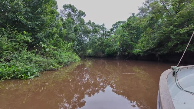 Boat trip on the Igarape do Urubu River, Delta das Americas, Ilha das Canarias, Brazil. Amazon Rainforest. South America