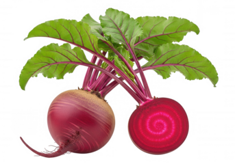 Vibrant beet roots with green leaves isolated on a transparent background