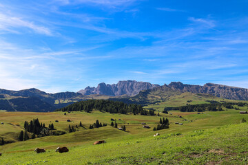 Rolling meadows cradle the peaks—Alpe di Siusi bathed in alpine calm