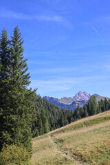 Mountain path in the beautiful landscape of Alpe di Siusi