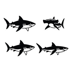 Four diverse shark silhouettes iconic marine predators majestic ocean life diverse shark species silhouette © Juma