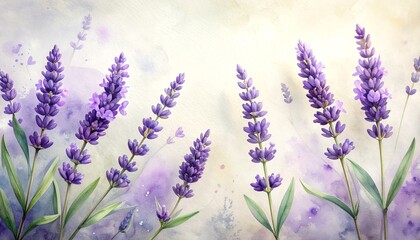 Naklejka premium Elegant watercolor lavender sprigs create a calming, dreamy vibe perfect for spa branding, artisanal product labels, or a touch of floral grace to elevate your design projects