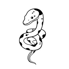 Fototapeta premium Boa Constrictor. Boa Constrictor simple black and white line art vector logo