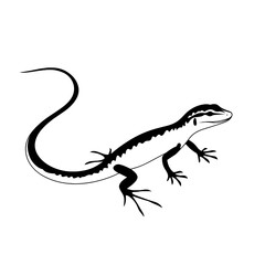 Fototapeta premium Monitor Lizard. Monitor Lizard simple black and white line art vector logo